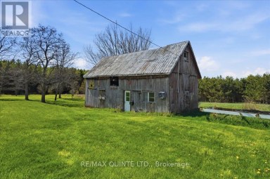 1686 COUNTY ROAD 13 Prince Edward County (South Marysburg Ward) Ontario photo 36