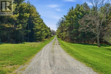 1686 COUNTY ROAD 13 Prince Edward County (South Marysburg Ward) Ontario photo 38