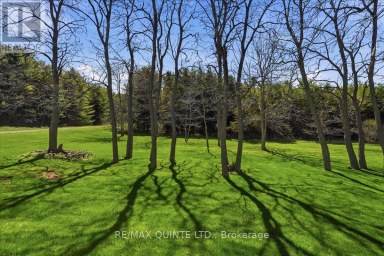 1686 COUNTY ROAD 13 Prince Edward County (South Marysburg Ward) Ontario photo 39