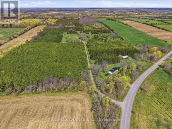 1686 COUNTY ROAD 13 Prince Edward County (South Marysburg Ward) Ontario photo 41