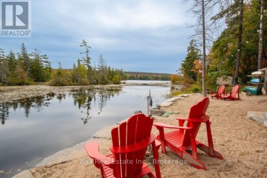 20 FIRE ROUTE 93 Trent Lakes Ontario photo 45