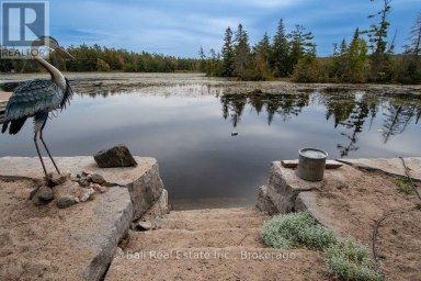 20 FIRE ROUTE 93 Trent Lakes Ontario photo 48