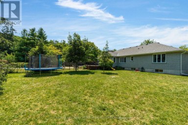 29 PRIEST AVENUE Springwater (Snow Valley) Ontario photo 25