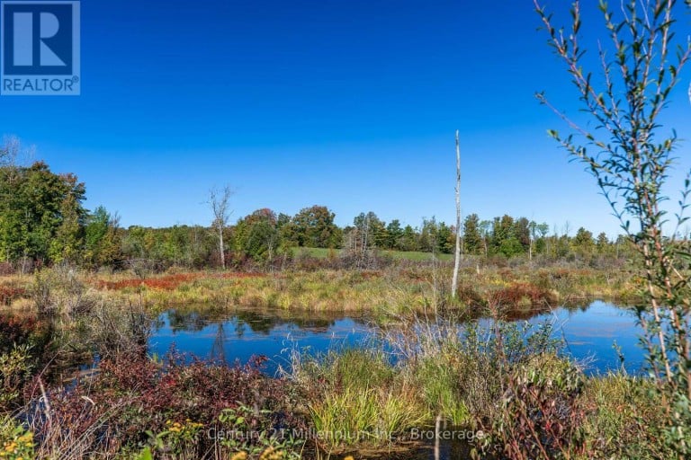 395 ELSINORE ROAD N, South Bruce Peninsula, Ontario, N0H1A0