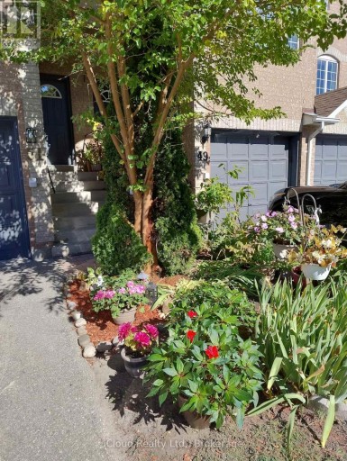 51 SPADINA ROAD, Brampton (Bram West), Ontario, L6X4X6