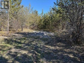 LOT 3 B GALBRAITH GROVE ROAD Stone Mills (Stone Mills) Ontario photo 2