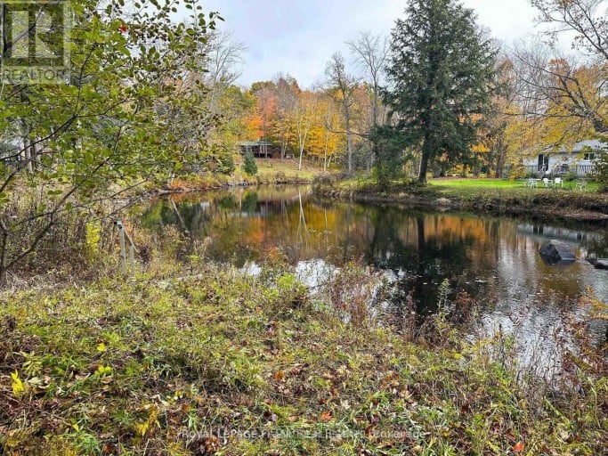 292 EDWINA DRIVE, Trent Lakes, Ontario, K0M1A0