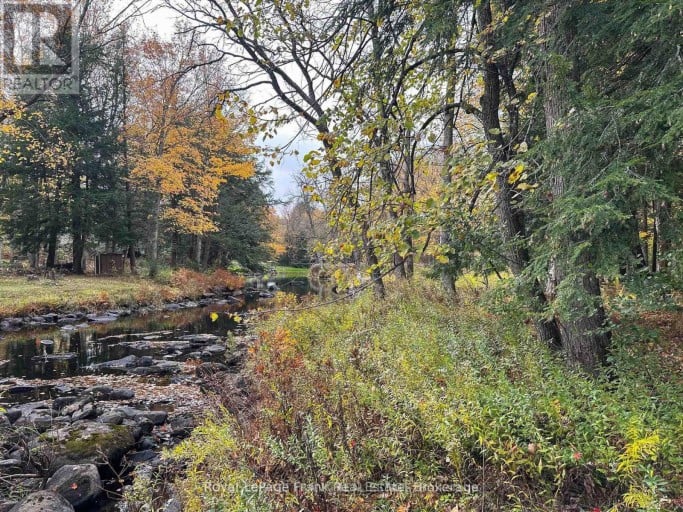 292 EDWINA DRIVE, Trent Lakes, Ontario, K0M1A0