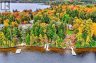 136 ROCK POINT ROAD, Kearney (proudfoot), Ontario, P0A1M0 (ID X13851812)