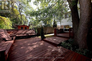 781 PAM CRESCENT Newmarket (Huron Heights-Leslie Valley) Ontario photo 17
