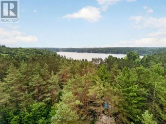 1018 WHITES ROAD Muskoka Lakes (Medora) Ontario photo 49