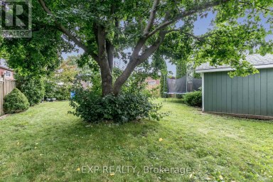 62 COURTICE CRESCENT Collingwood Ontario photo 44