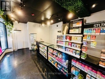 201 DUNDAS STREET E Toronto (Moss Park) Ontario photo 5