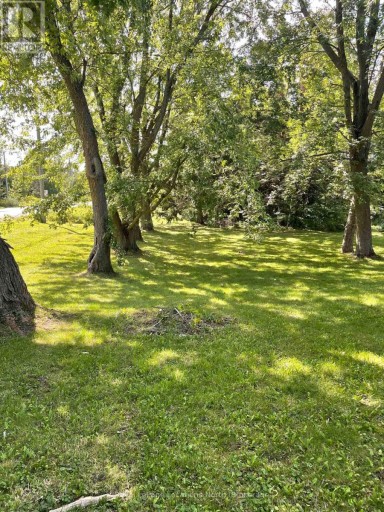 9038 COUNTY RD 91 ROAD, Clearview, Ontario, L0M1H0
