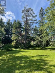 9038 COUNTY RD 91 ROAD Clearview Ontario photo 9