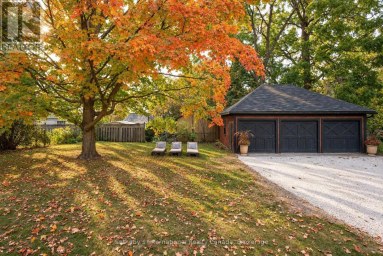 4 KING STREET Clearview (Creemore) Ontario photo 42