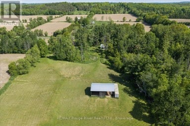 1004 TELECOM ROAD Kawartha Lakes (Manvers) Ontario photo 33