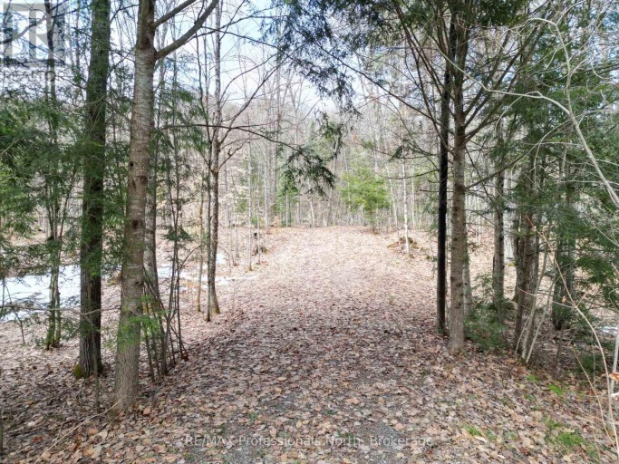 1231 BIG HAWK LAKE ROAD, Algonquin Highlands (Stanhope), Ontario, K0M1J2