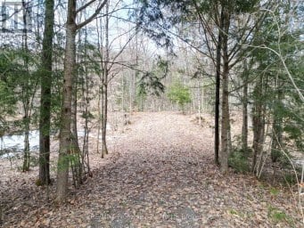 1231 BIG HAWK LAKE ROAD Algonquin Highlands (Stanhope) Ontario photo 1