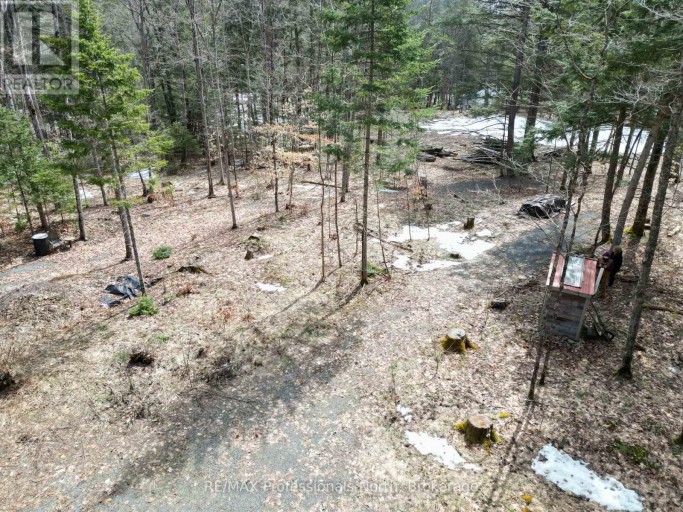 1231 BIG HAWK LAKE ROAD, Algonquin Highlands (Stanhope), Ontario, K0M1J2