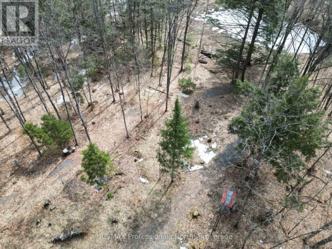 1231 BIG HAWK LAKE ROAD, Algonquin Highlands (Stanhope), Ontario, K0M1J2