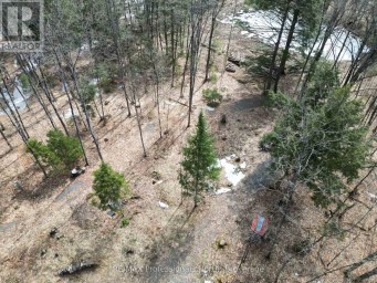 1231 BIG HAWK LAKE ROAD Algonquin Highlands (Stanhope) Ontario photo 12