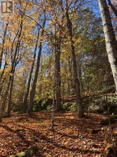 1231 BIG HAWK LAKE ROAD, Algonquin Highlands (Stanhope), Ontario, K0M1J2