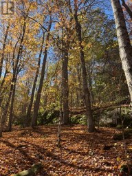 1231 BIG HAWK LAKE ROAD Algonquin Highlands (Stanhope) Ontario photo 15