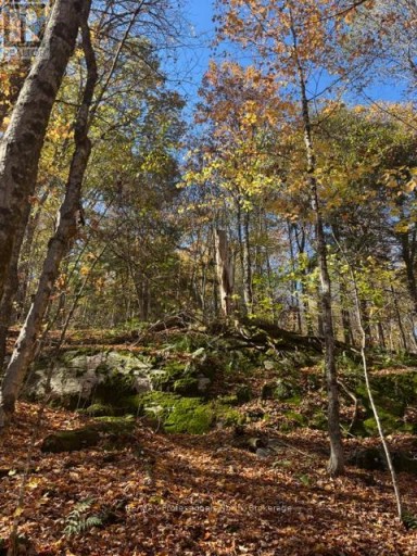 1231 BIG HAWK LAKE ROAD, Algonquin Highlands (Stanhope), Ontario, K0M1J2