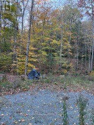 1231 BIG HAWK LAKE ROAD Algonquin Highlands (Stanhope) Ontario photo 18