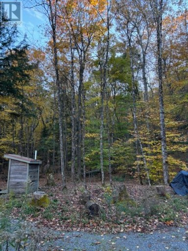1231 BIG HAWK LAKE ROAD, Algonquin Highlands (Stanhope), Ontario, K0M1J2