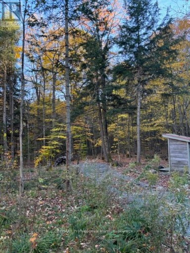 1231 BIG HAWK LAKE ROAD, Algonquin Highlands (Stanhope), Ontario, K0M1J2