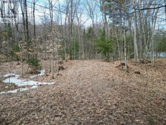 1231 BIG HAWK LAKE ROAD Algonquin Highlands (Stanhope) Ontario photo 3
