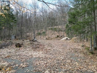 1231 BIG HAWK LAKE ROAD Algonquin Highlands (Stanhope) Ontario photo 5