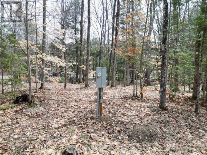 1231 BIG HAWK LAKE ROAD, Algonquin Highlands (Stanhope), Ontario, K0M1J2