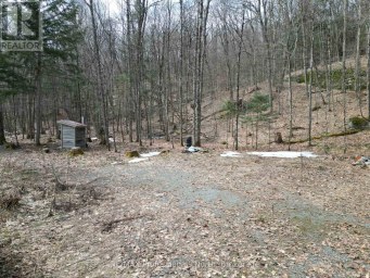 1231 BIG HAWK LAKE ROAD Algonquin Highlands (Stanhope) Ontario photo 7
