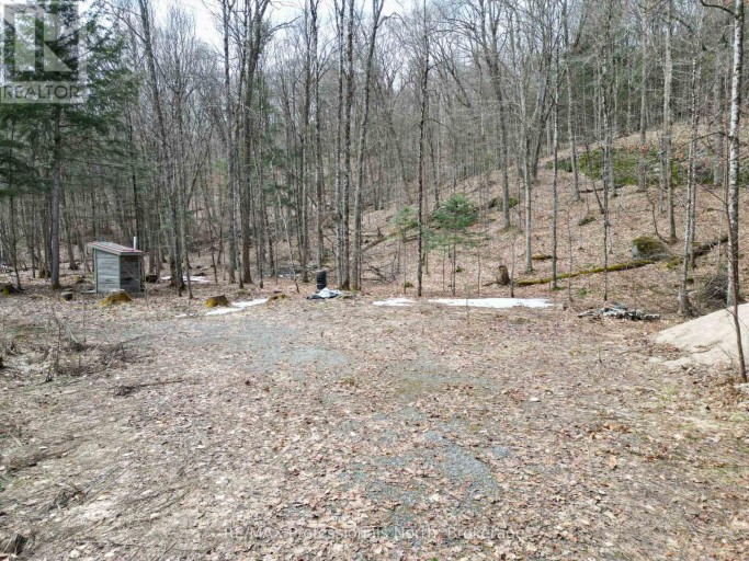 1231 BIG HAWK LAKE ROAD, Algonquin Highlands (Stanhope), Ontario, K0M1J2
