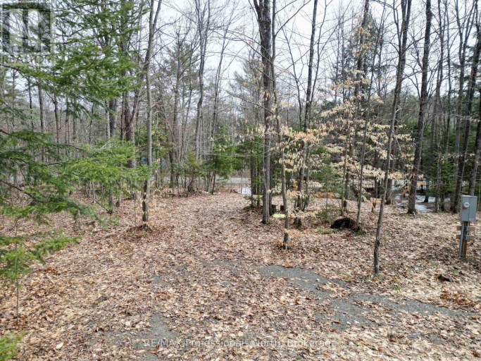 1231 BIG HAWK LAKE ROAD, Algonquin Highlands (Stanhope), Ontario, K0M1J2