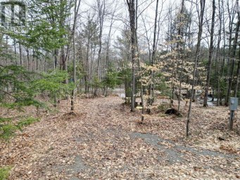 1231 BIG HAWK LAKE ROAD Algonquin Highlands (Stanhope) Ontario photo 9