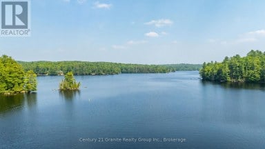 1085 GRACE ROAD Minden Hills (Minden) Ontario photo 46
