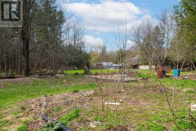 316056 HIGHWAY 6 HIGHWAY S Chatsworth Ontario photo 33