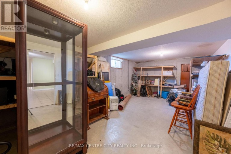 19 HAMILTON STREET, North Middlesex (Ailsa Craig), Ontario, N0M1A0