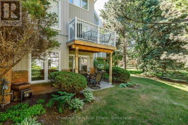 89 - 18 RAMBLINGS WAY Collingwood Ontario photo 34