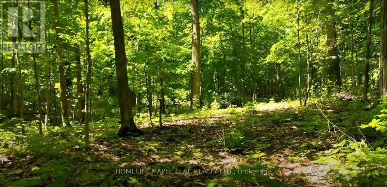 938433 AND 938453 AIRPORT ROAD, Mulmur, Ontario, L0M1K0
