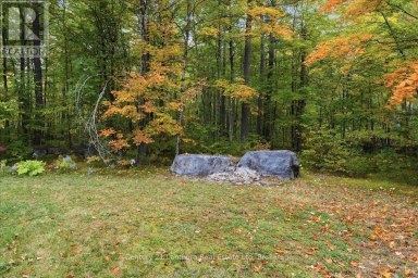 47 REYNOLDS ROAD Madoc Ontario photo 39