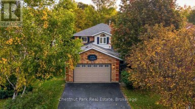 31 BUSH STREET Collingwood Ontario photo 1