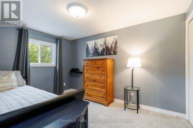 31 BUSH STREET Collingwood Ontario photo 37