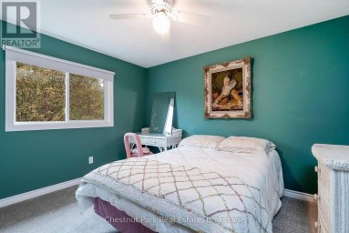 31 BUSH STREET Collingwood Ontario photo 40