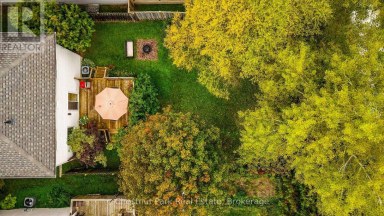 31 BUSH STREET Collingwood Ontario photo 49