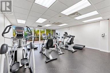 PH15 - 155 HILLCREST AVENUE Mississauga (Cooksville) Ontario photo 38
